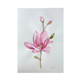 Elena Ferguson - Pink Magnolia # 2 (22 x 30)