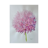 Elena Ferguson - Pink Bloom (18 x 24)