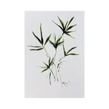 Elena Ferguson - Botanical Ink #1 (11.69 x 16.53)