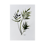 Elena Ferguson - Botanical Ink #3 (11.69 x 16.53)