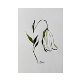 Elena Ferguson - Botanical Ink #4 (11.69 x 16.53