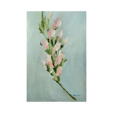 Elena Ferguson - Pink Gladiolus (8 x 12)