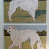 Basking Borzoi