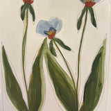 Morgan Shrader 6x8