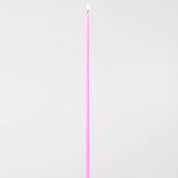 That Skinny Bitch Candle Set