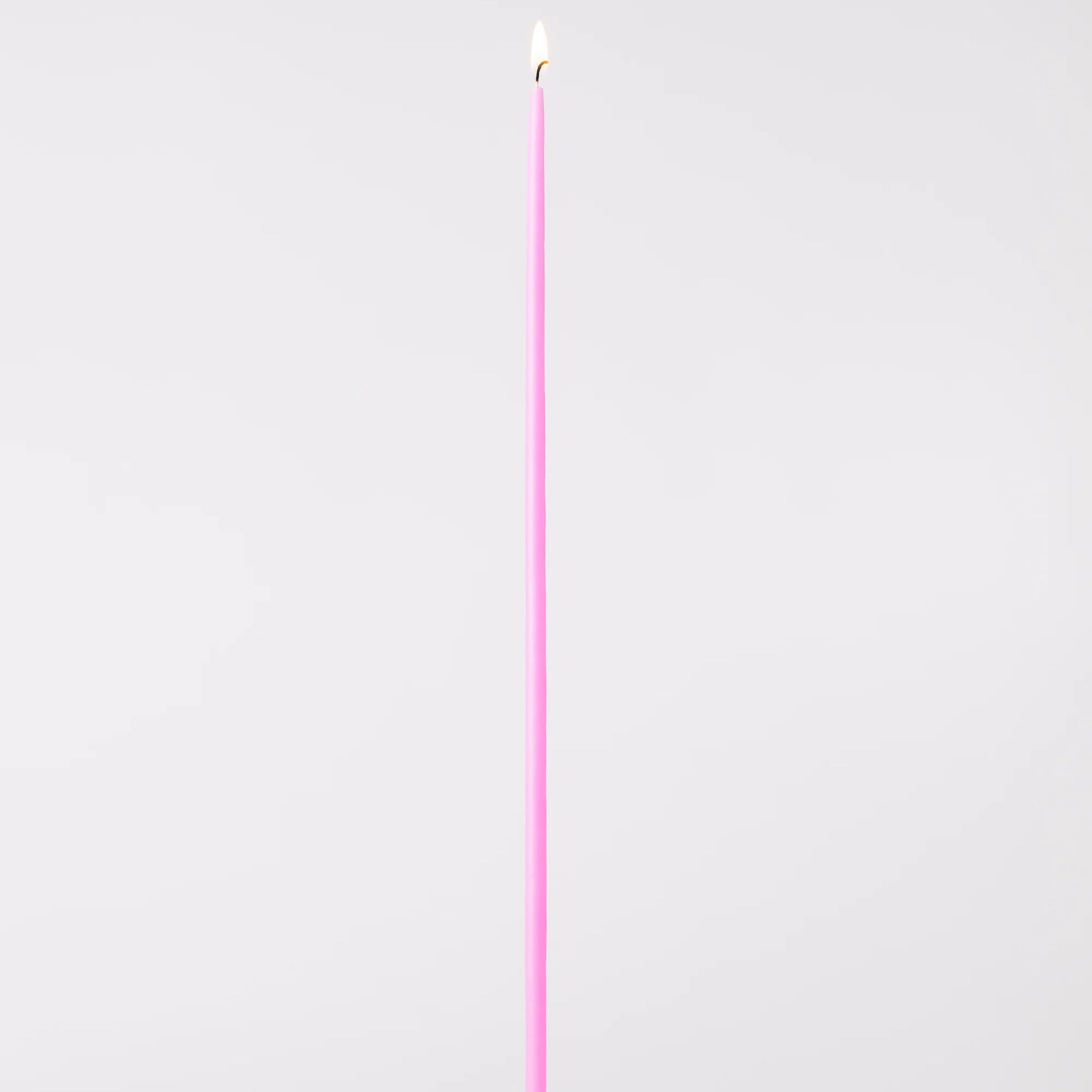 That Skinny Bitch Candle Set