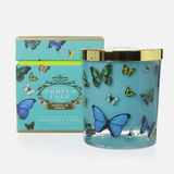 Portus Cale Butterflies collection