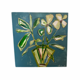 Helebore Potted Play