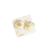 Hillary Jackson: BHYD-Stud