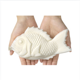 Fish Soap