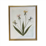 Changing of the Seasons 16x20 (Framed)