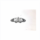 Butterfly by Shelby Hamilton