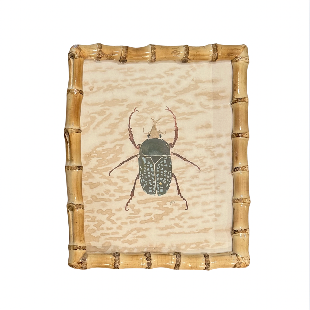 Beetle Bug's Framed