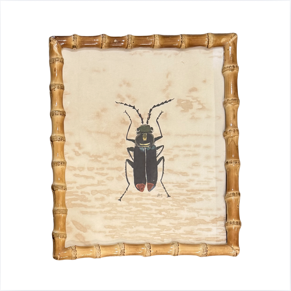 Beetle Bug's Framed