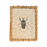 Beetle Bug's Framed