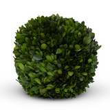 Preserved Boxwood Ball