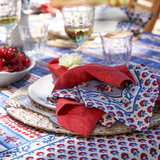 Avignon Red & Blue Handblock Napkin