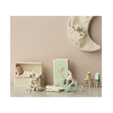 Tooth fairy mouse, Little sister in matchbox
