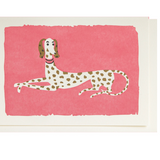 Spotty Dog