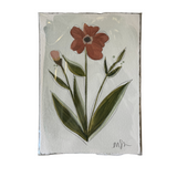 Morgan Shrader Paper Piece