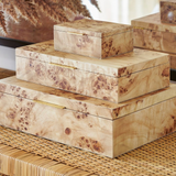Leiden Burl Wood Design Box