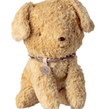 Puppy Small, Soft Sand