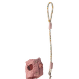 Pet Supply - Harness and Leash