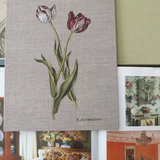 Dutch Tulips