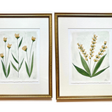 Secret Garden 16x20 Framed