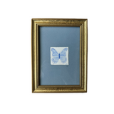 "Dancing Wings"