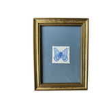 "Whimsical Flight"