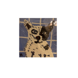 "Dog on Blue"
