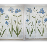"Serene Meadow"