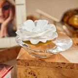 Dream Crystal Edition Diffuser in Fig Vetiver